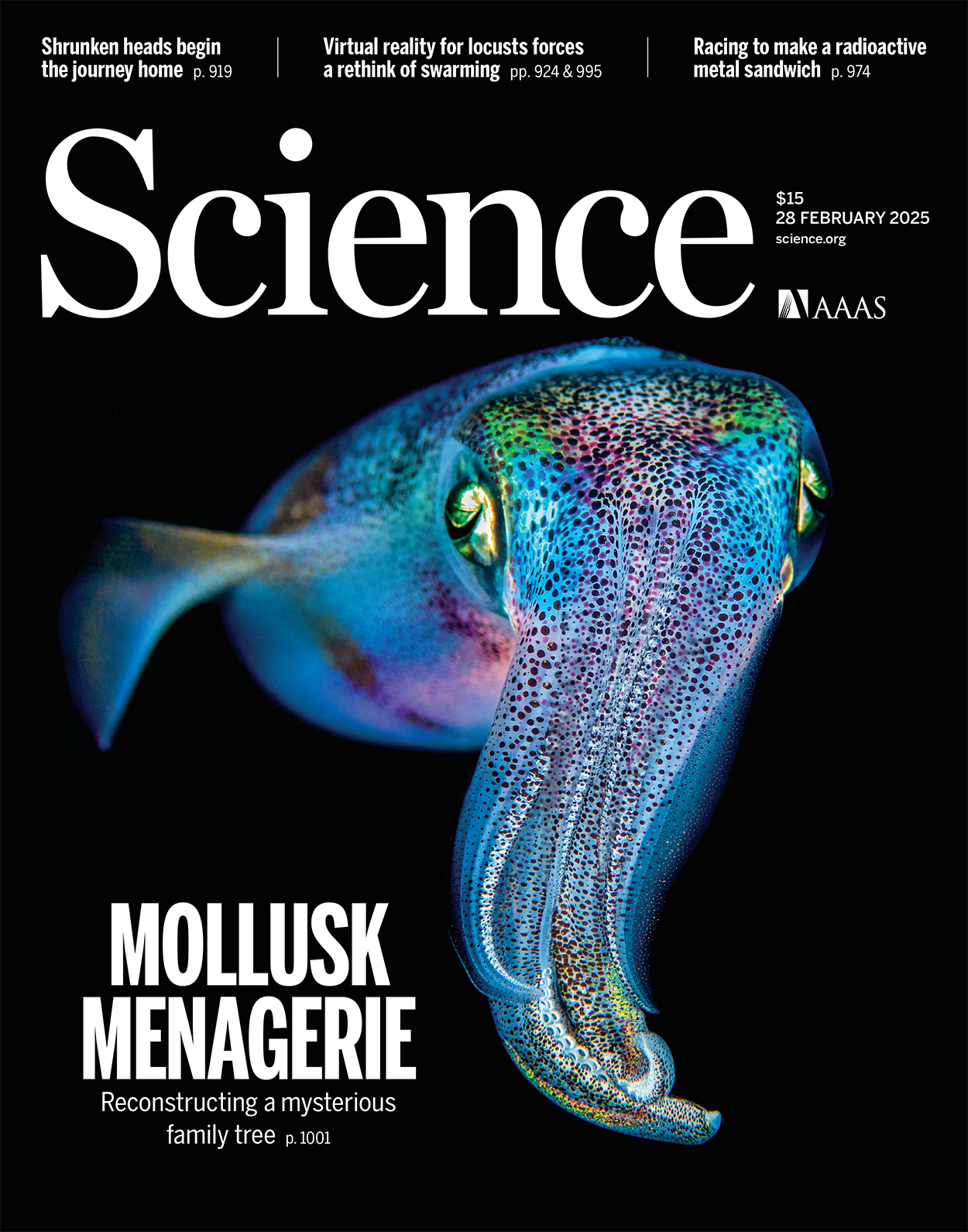 Science Cover